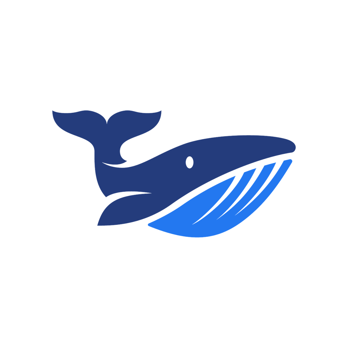 CS20 Case Offers CSWhale